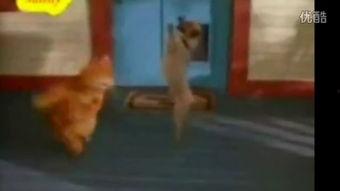 爆料踩踏动物视频,揭秘网络传播的踩踏动物视频事件  第2张